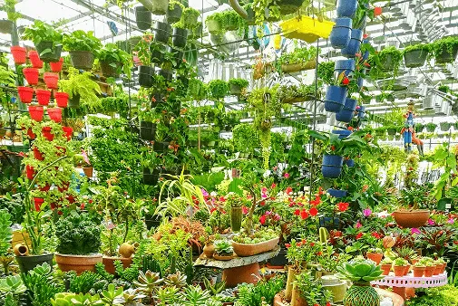 Широкий диапазон