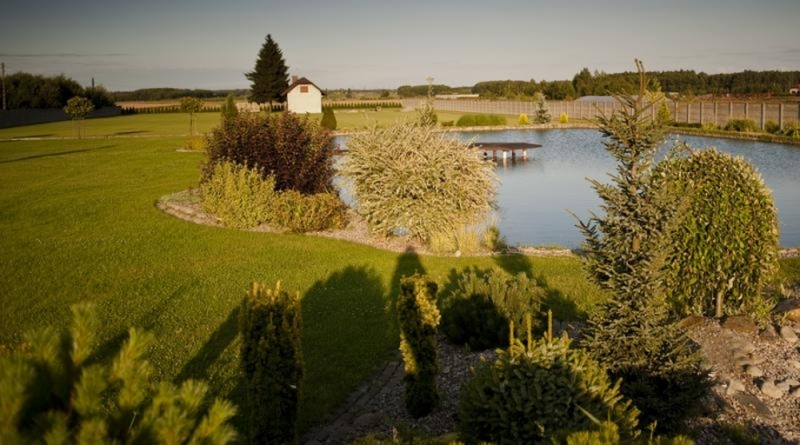 Питомник растений