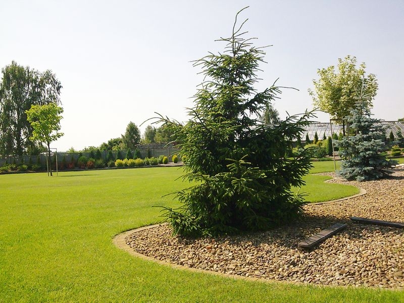 Садовый центр